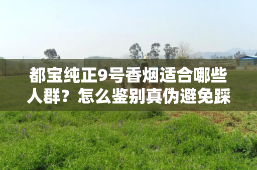 都宝纯正9号香烟适合哪些人群？怎么鉴别真伪避免踩坑？